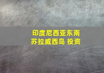 印度尼西亚东南苏拉威西岛 投资